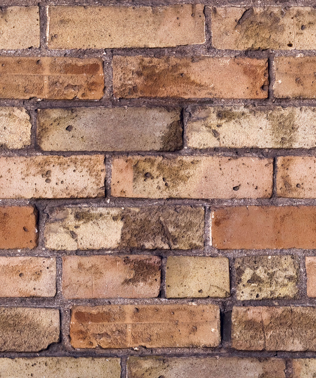 Old Brown Bricks Wallpaper Realistic Exposed Brick Milton King