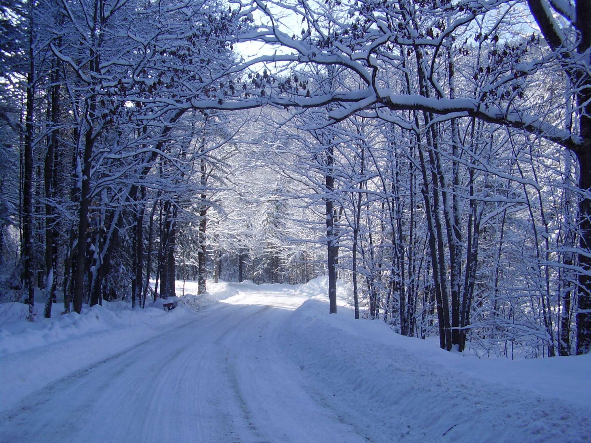 A snowy road winds through a forest of snow-covered trees in winter