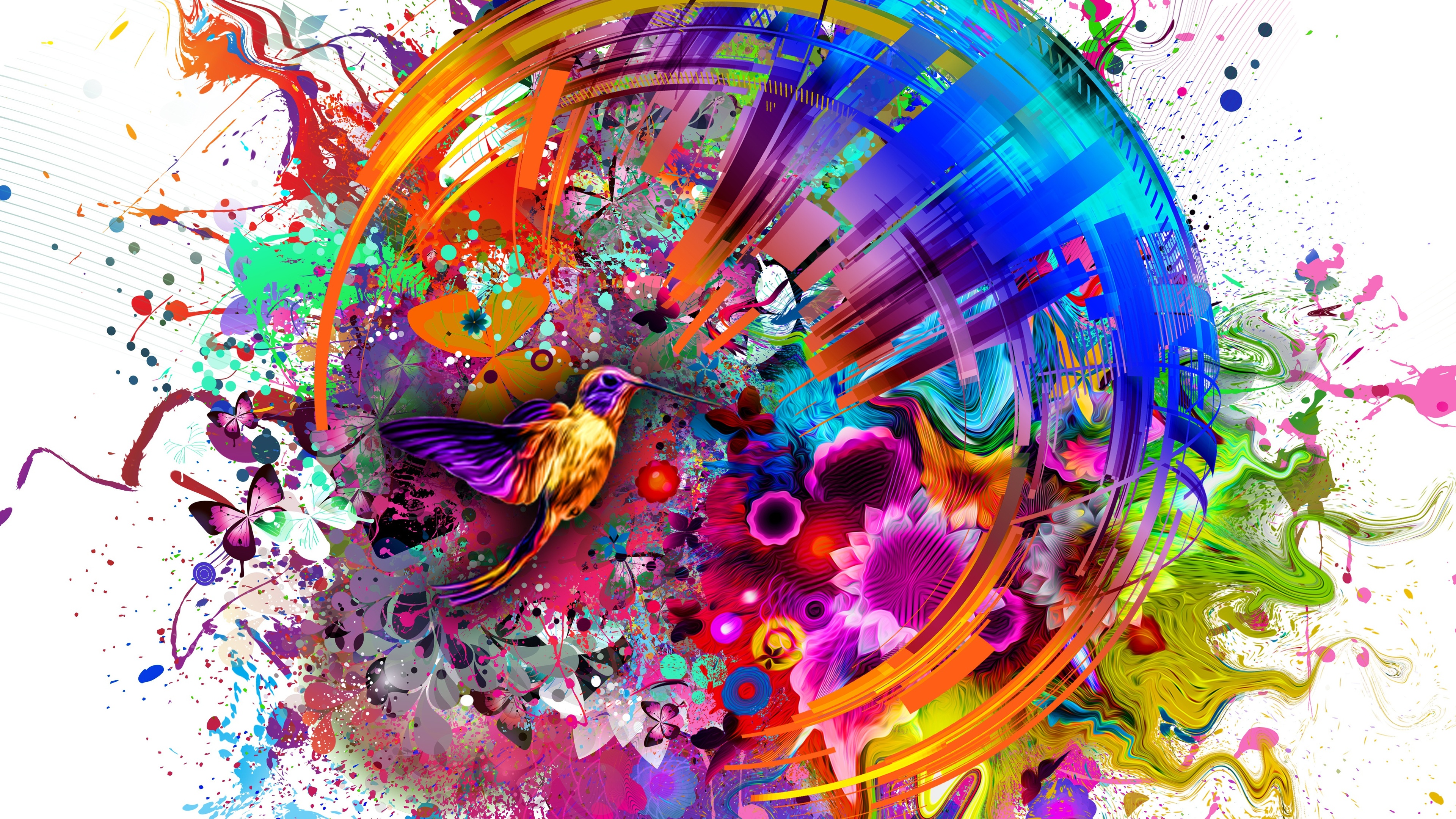 Abstract Colors Flashy Bird 4k Wallpaper