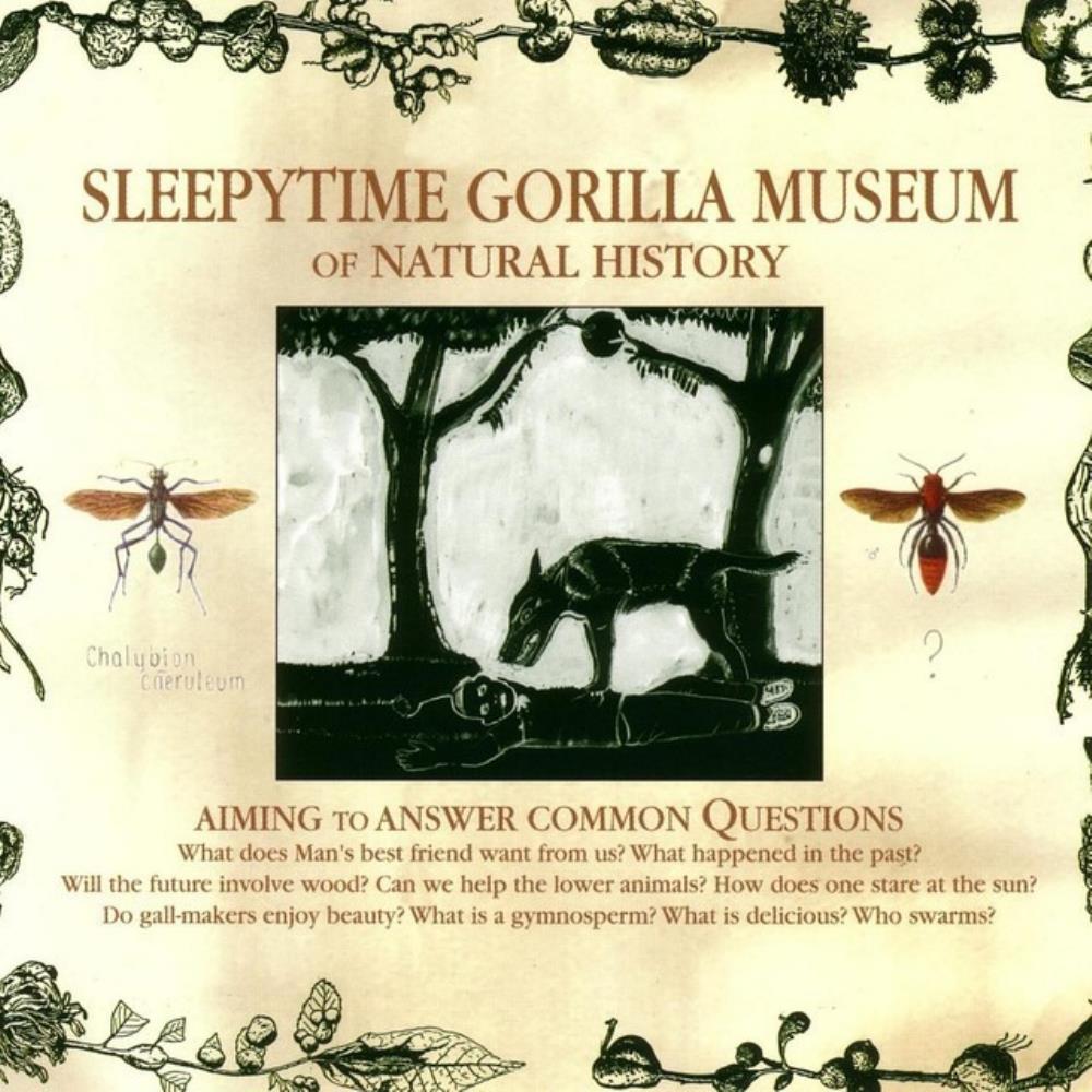 Sleepytime Gorilla Museum Of Natural History Res