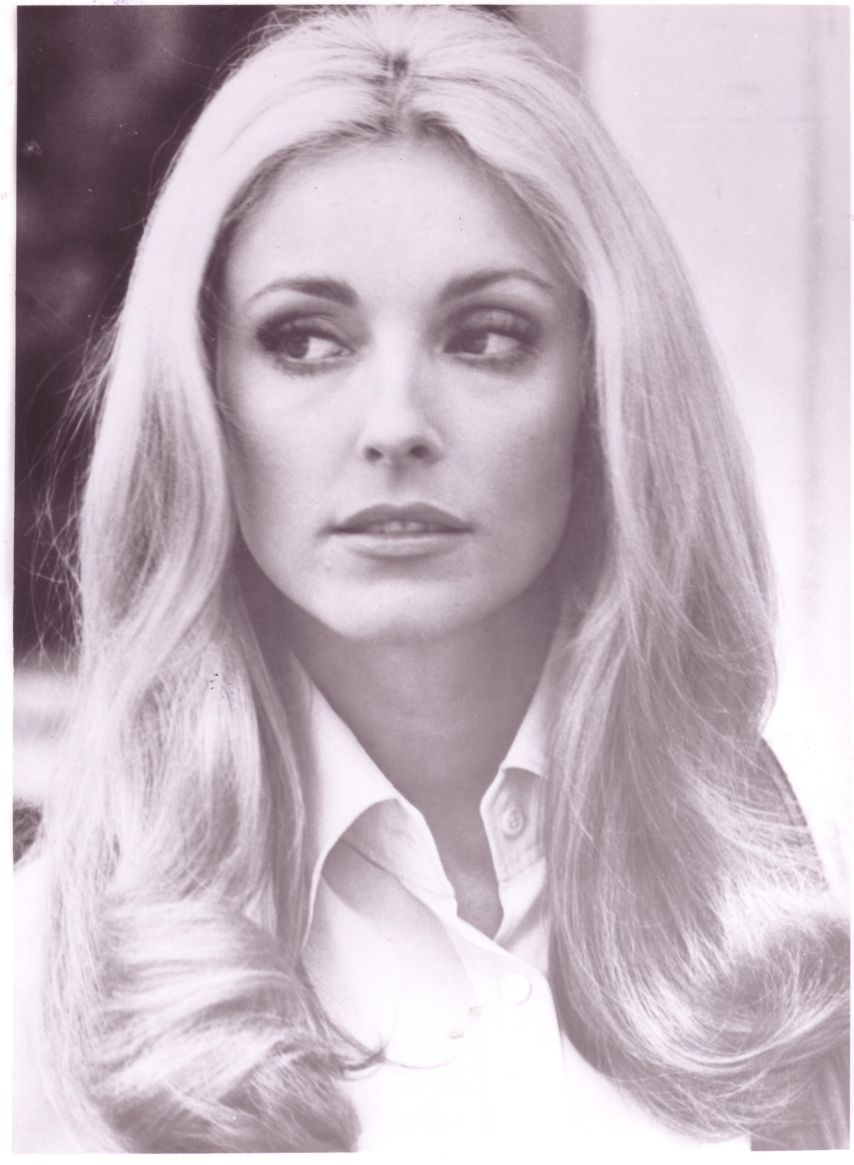 Pictures Of Sharon Tate Picture