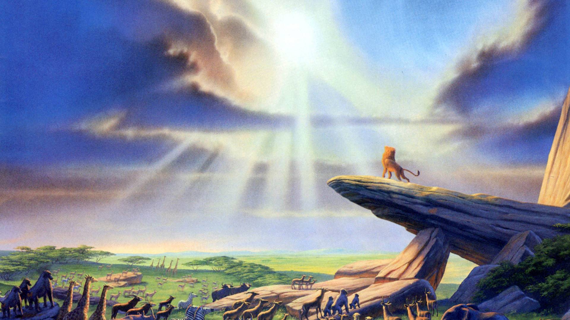 HD Simba Lion King Wallpaper