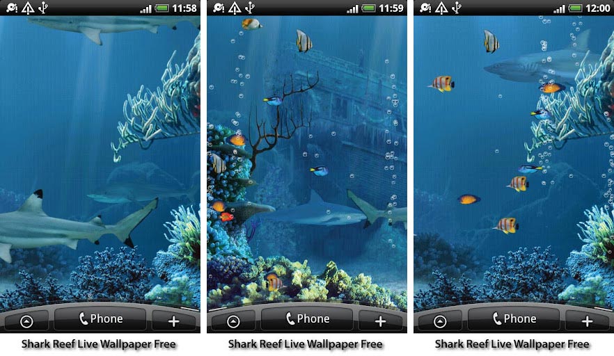 best aquarium fish live wallpapers android shark reef live wallpaper