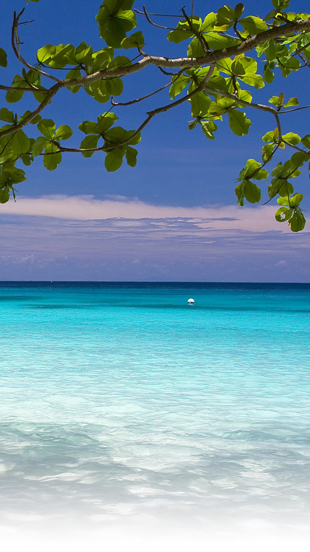 Beach iPhone Background Wallpaper