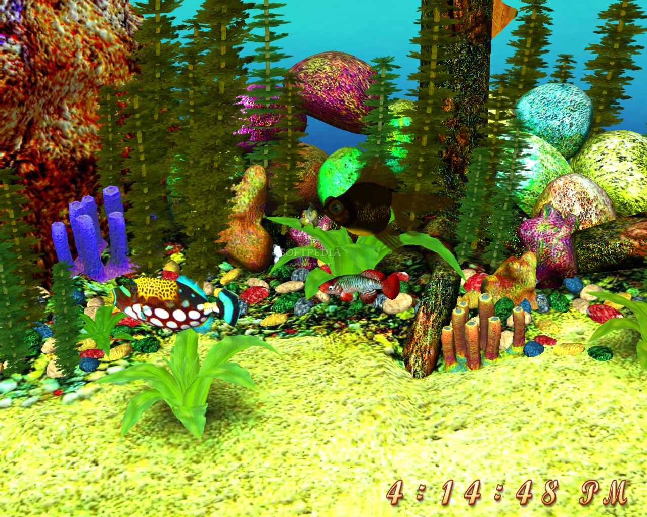Để có một bầu không khí trong lành và thư giãn, bạn hãy cài đặt Màn hình nền Đại dương 3D. Bạn sẽ được chiêm ngưỡng các loài cá đang bơi lội trong những bãi san hô đẹp như tranh vẽ. Điều thú vị là các hình ảnh này sẽ thay đổi theo thời gian, cho bạn cảm giác như đang ngắm bể cá đúng như thật.