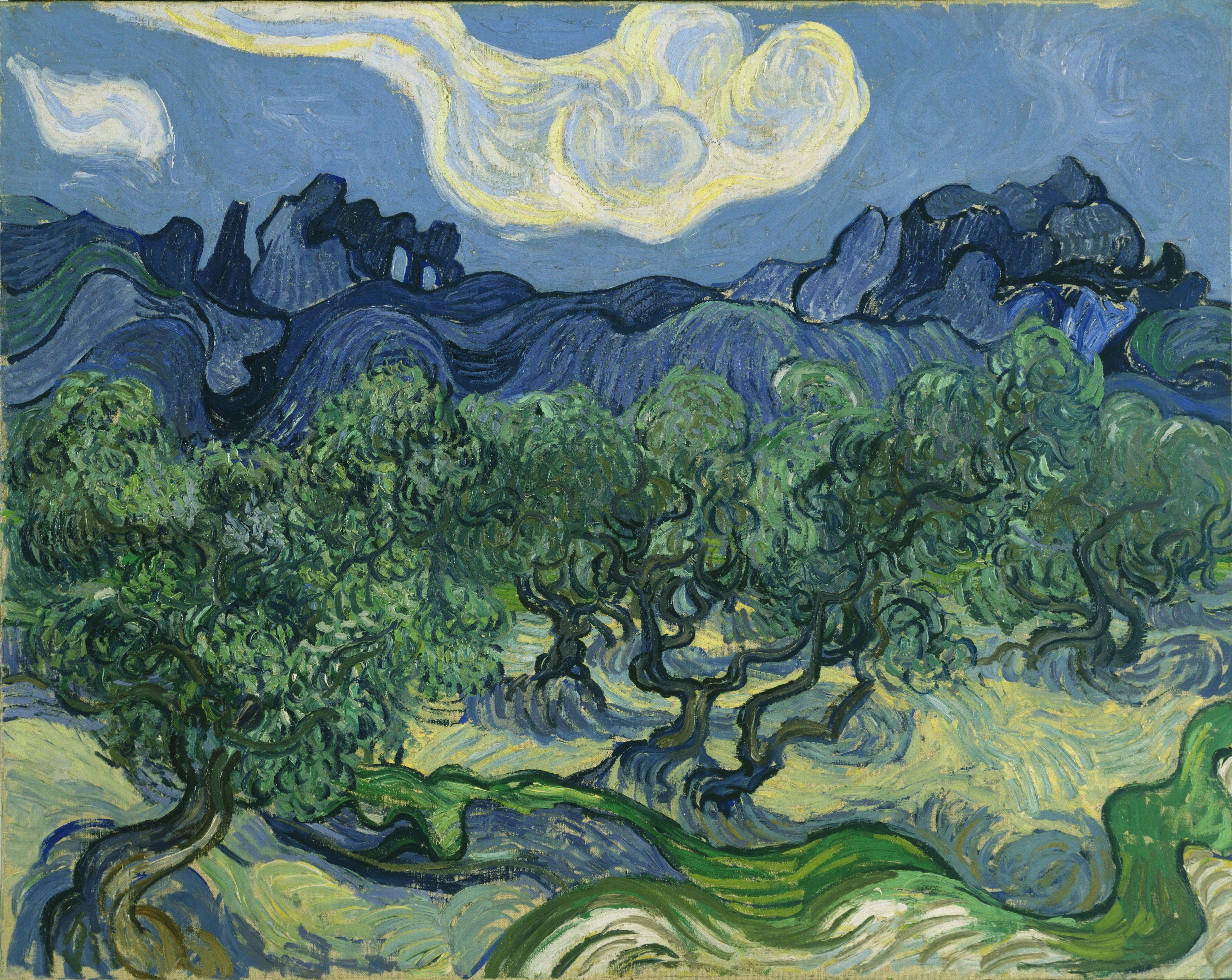 Van Gogh Olive Trees Wallpaper And Image Pictures
