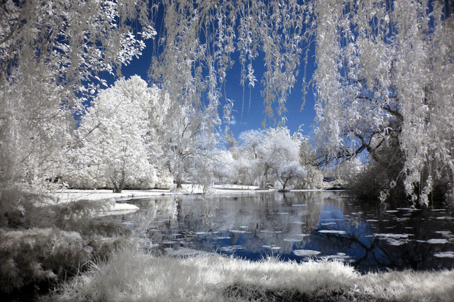 Beautiful Winter Wonderland Wallpaper For 480 X 640 Mobile Pictures