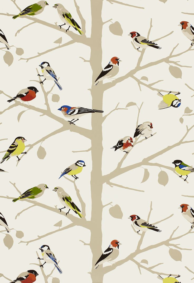 Schumacher Bird Wallpaper By Some Of The