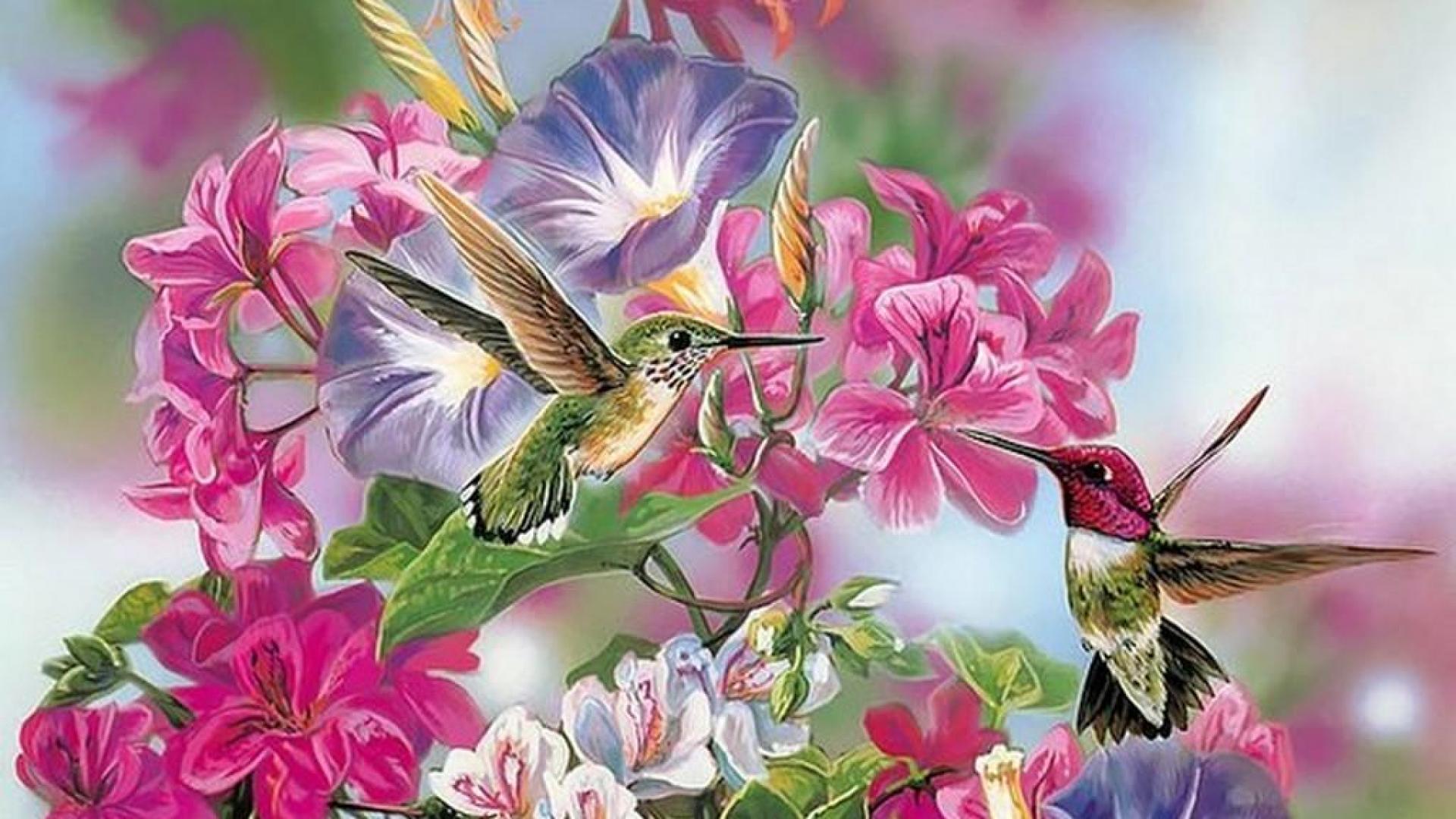 Hummingbirds In The Flowers Wallpaper Hq Desktop