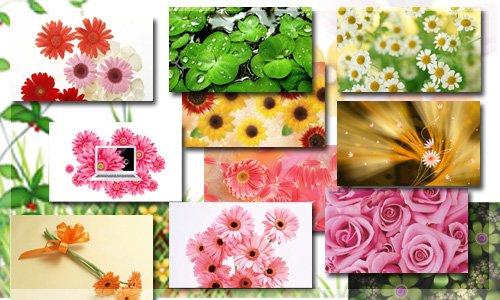 Flower Wallpaper Pics Picture Image