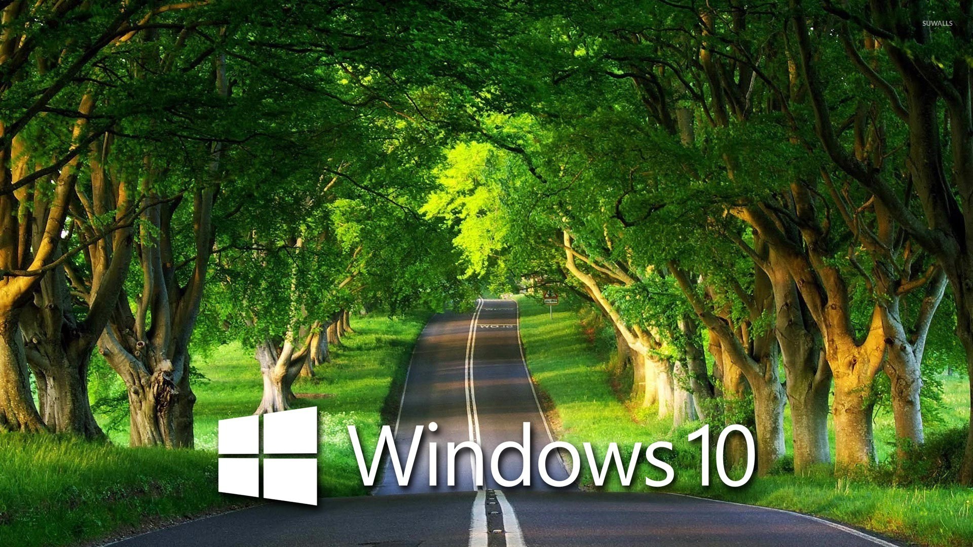 Windows Wallpaper