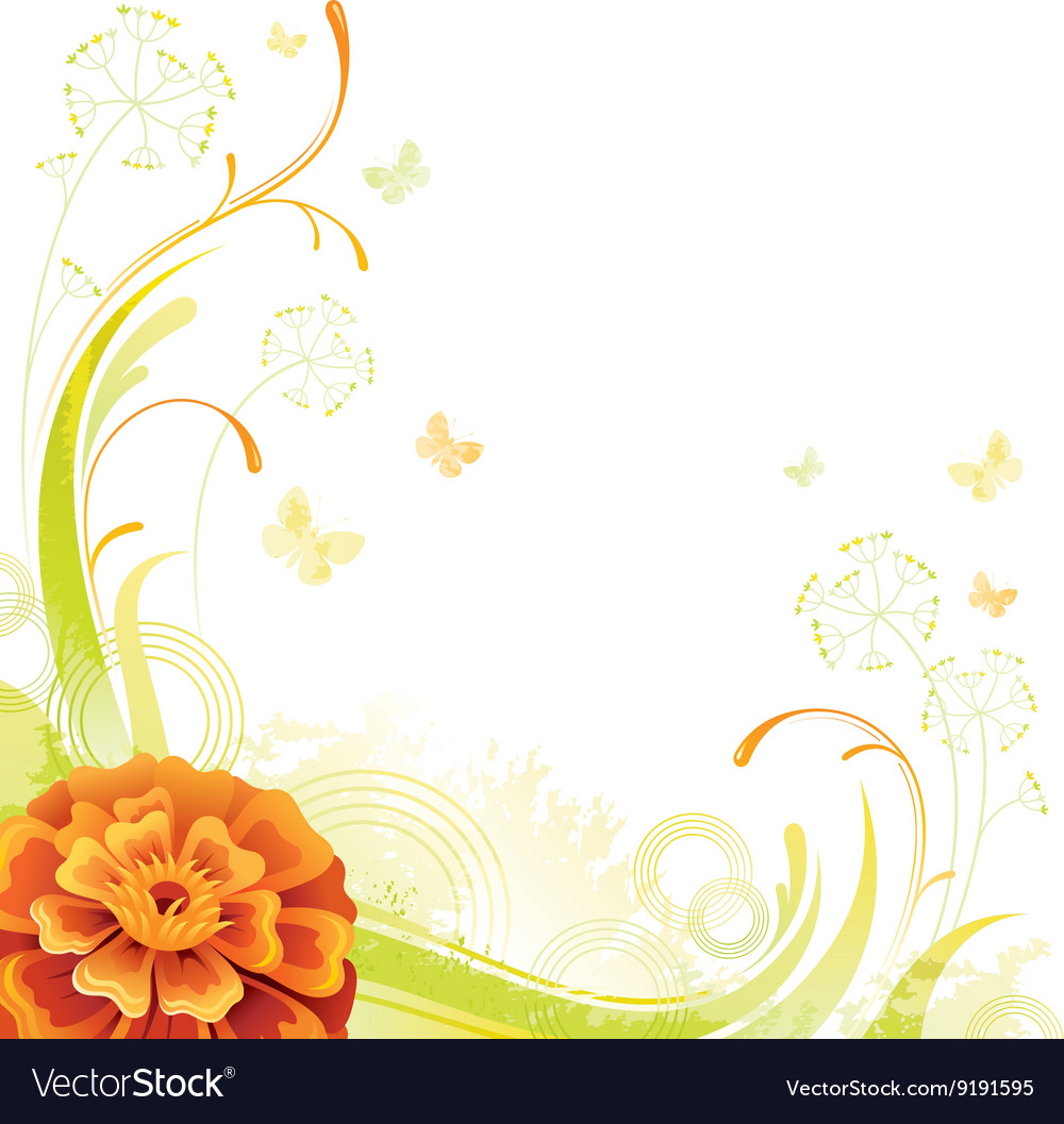 Floral Summer Background With Orange Marigold Vector Image