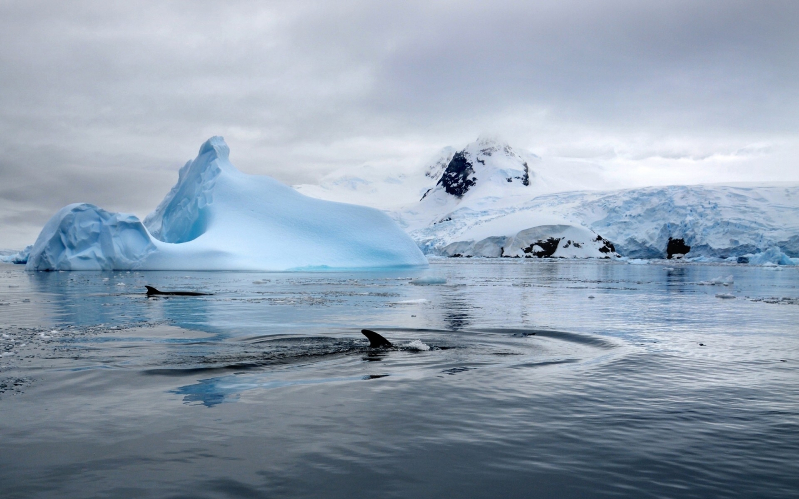 nature national geographic icebergs killer whales winter landscapes