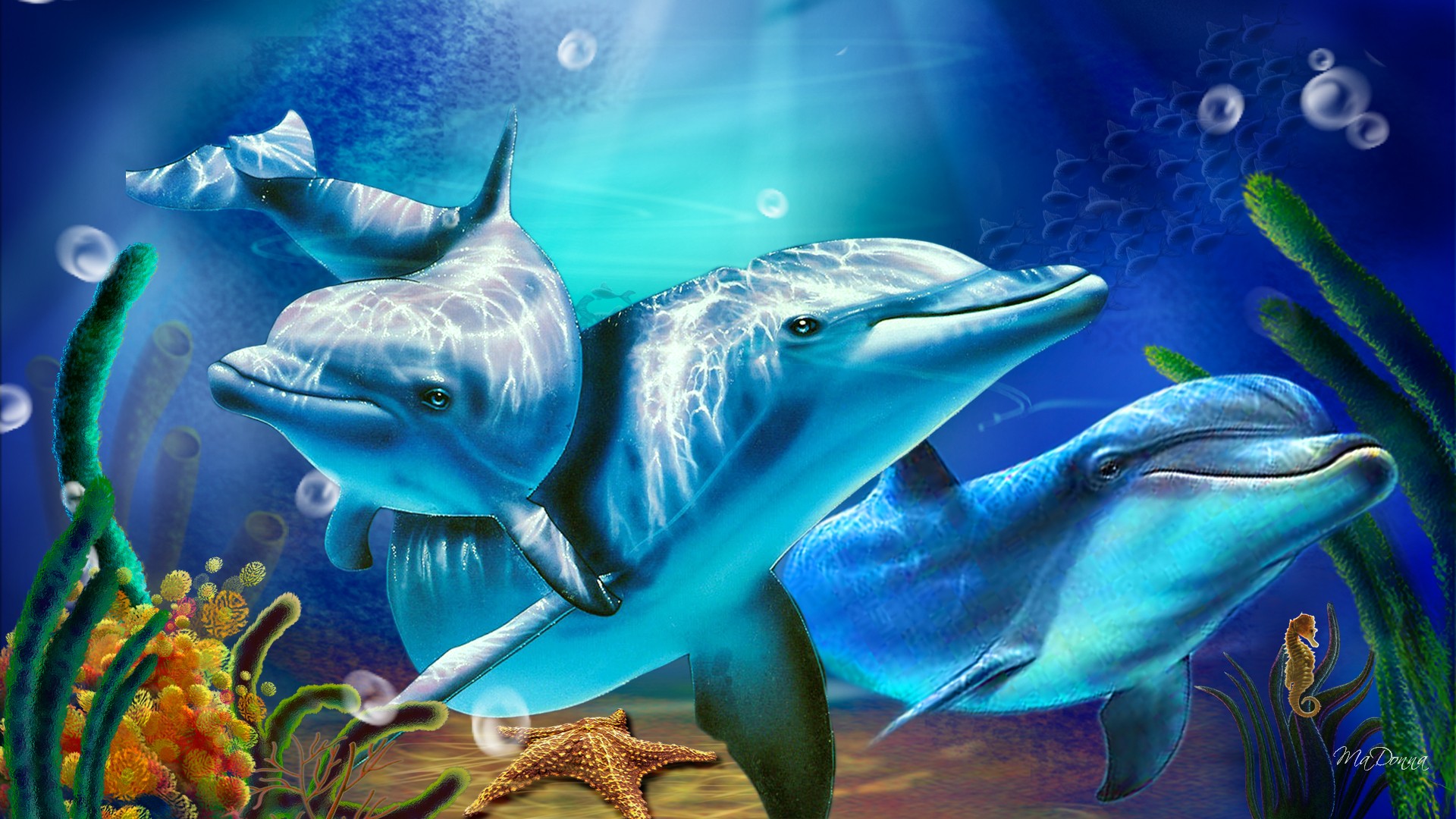 Colorful Dolphin Background Wallpaper HD Background