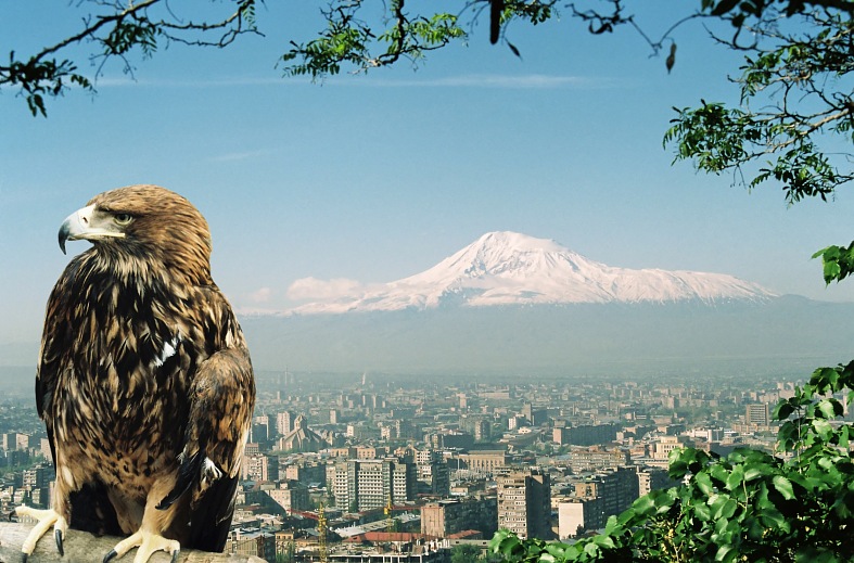 Yerevan And Ararat Armenia Picture