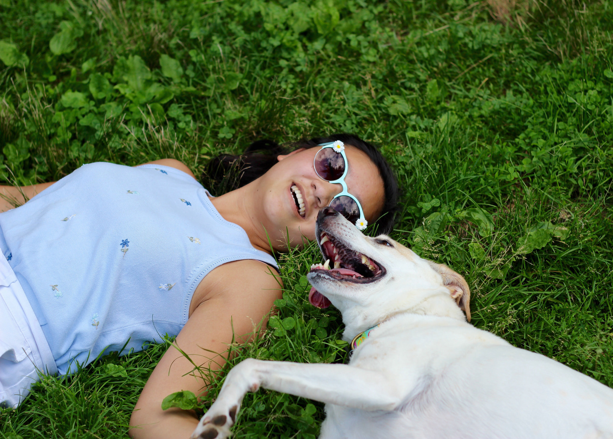 Reasons Why You Should Absolutely Date A Girl Who Loves Her Dog Wallpaper