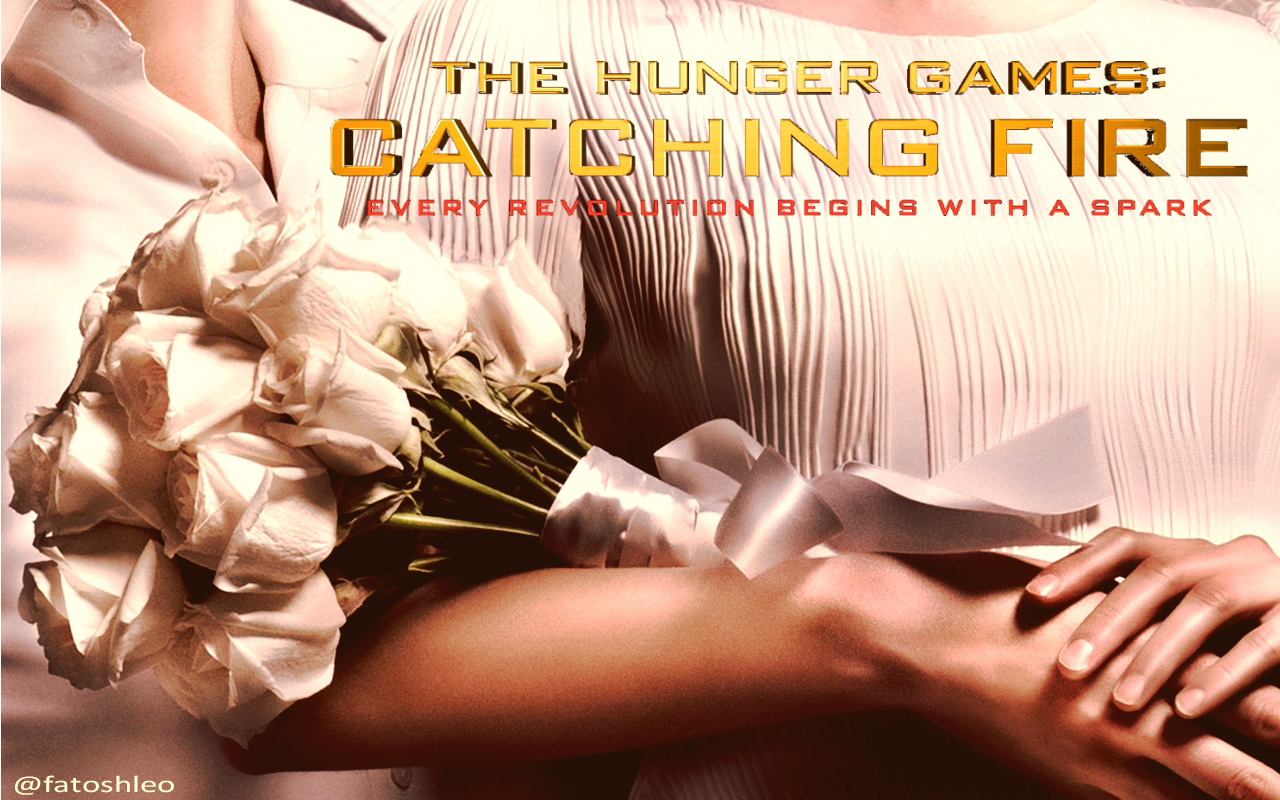 The Hunger Games Image Thg Catching Fire Wallpaper HD