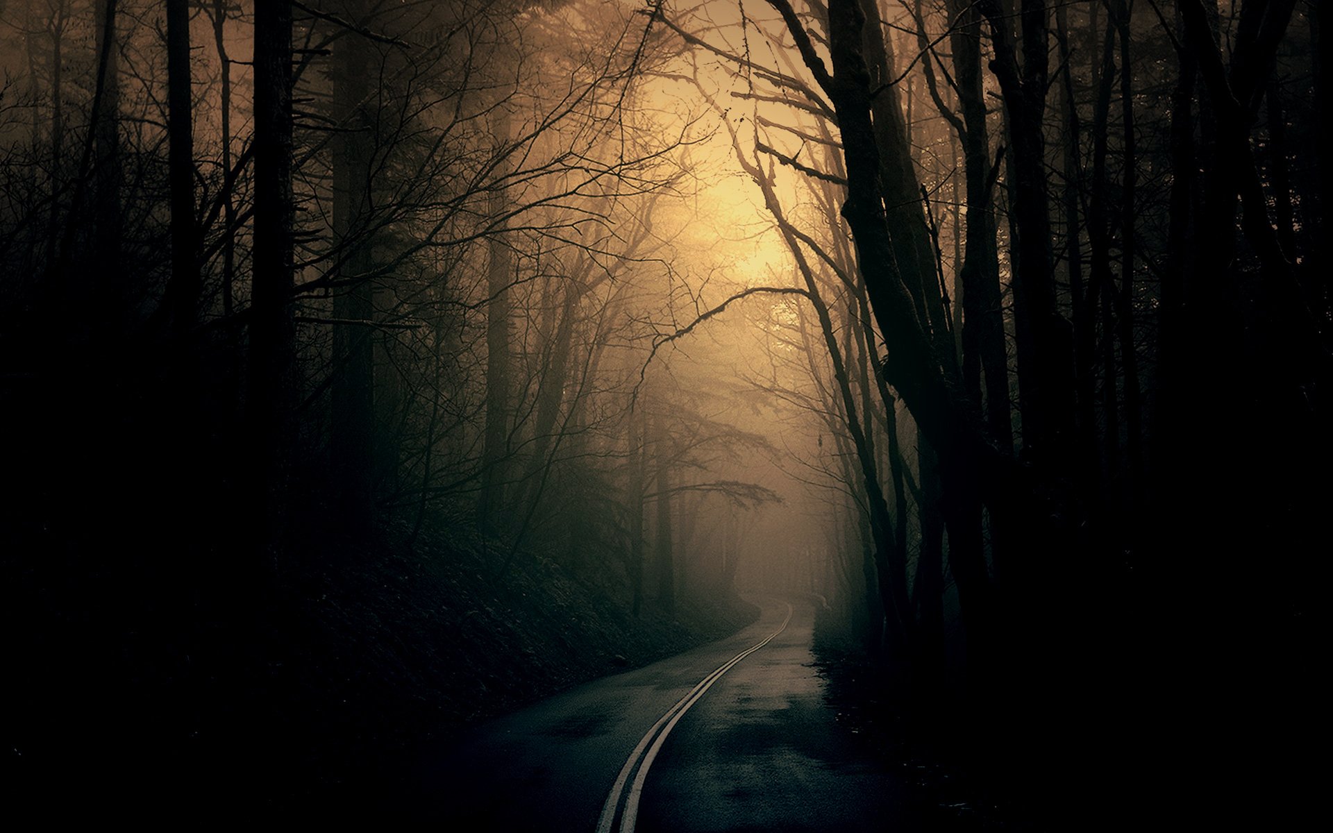 Free download Theme Bin Blog Archive Dark Forest Road HD Wallpaper