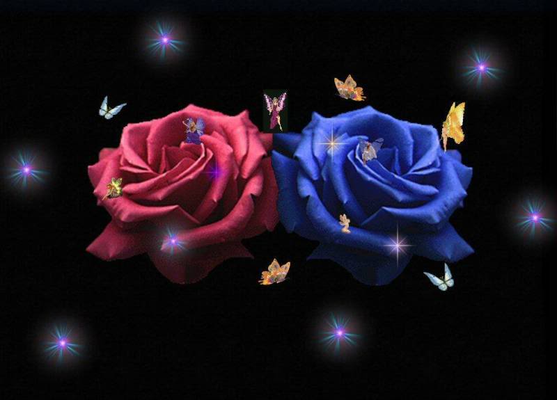 Blue Rose Red Fairys Wallpaper Background Theme Desktop