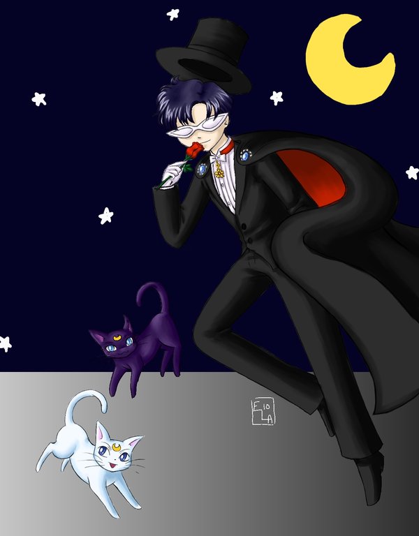 Tuxedo Mask And Moon Cats By Yunsildin