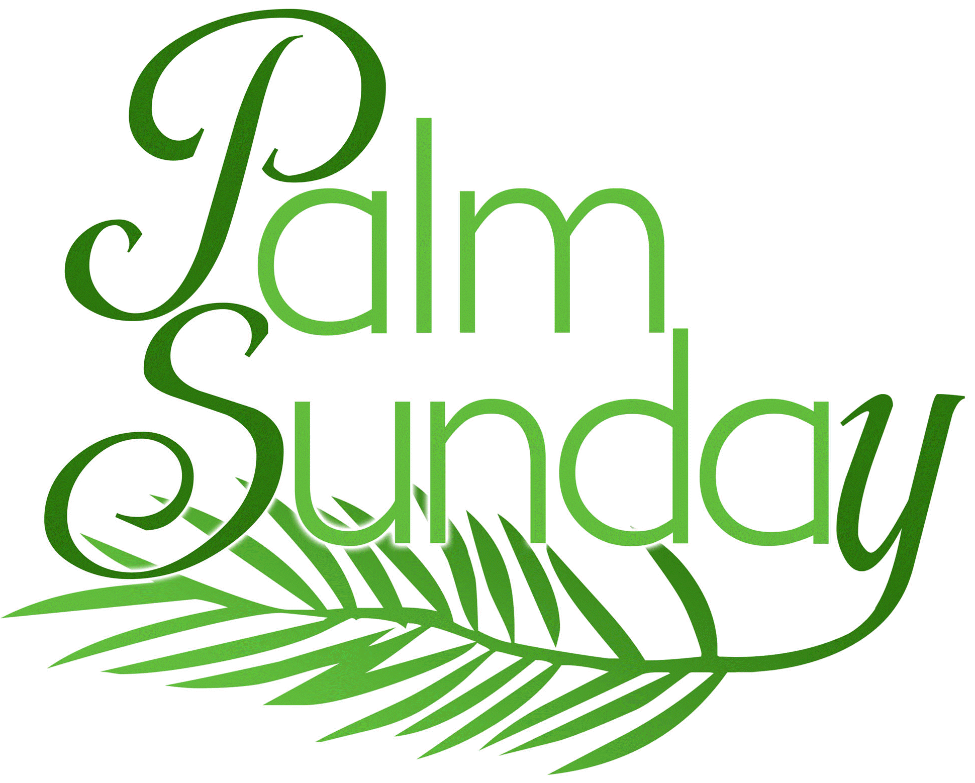 Sunday Quotes Happy Palm Wallpaper