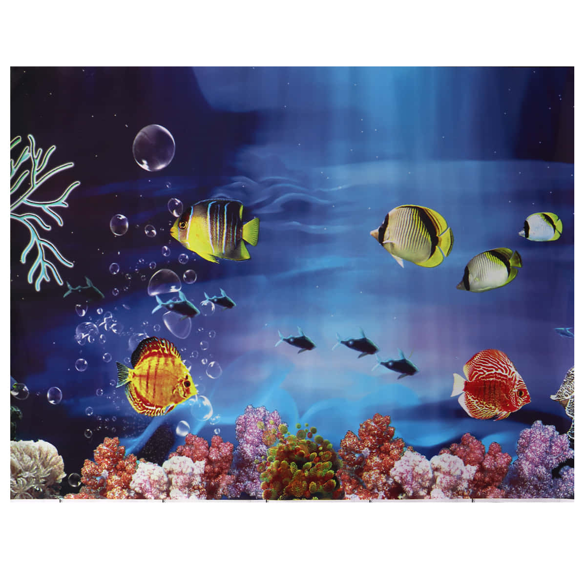 Aquarium Fish Tank Wallpaper