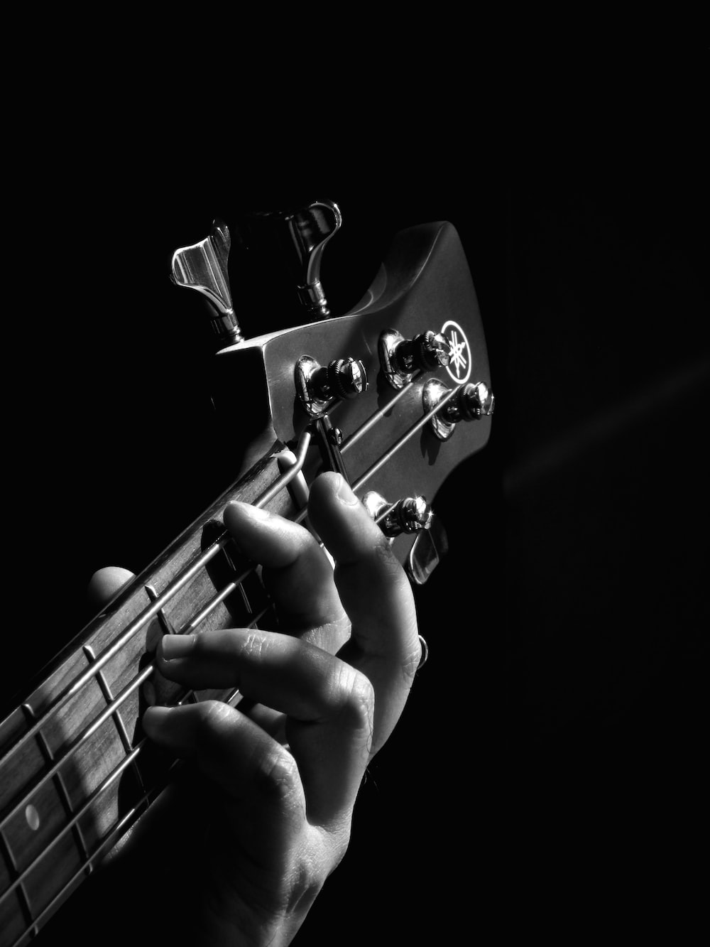 500 Bass Guitar Pictures [HD] Download Free Images on