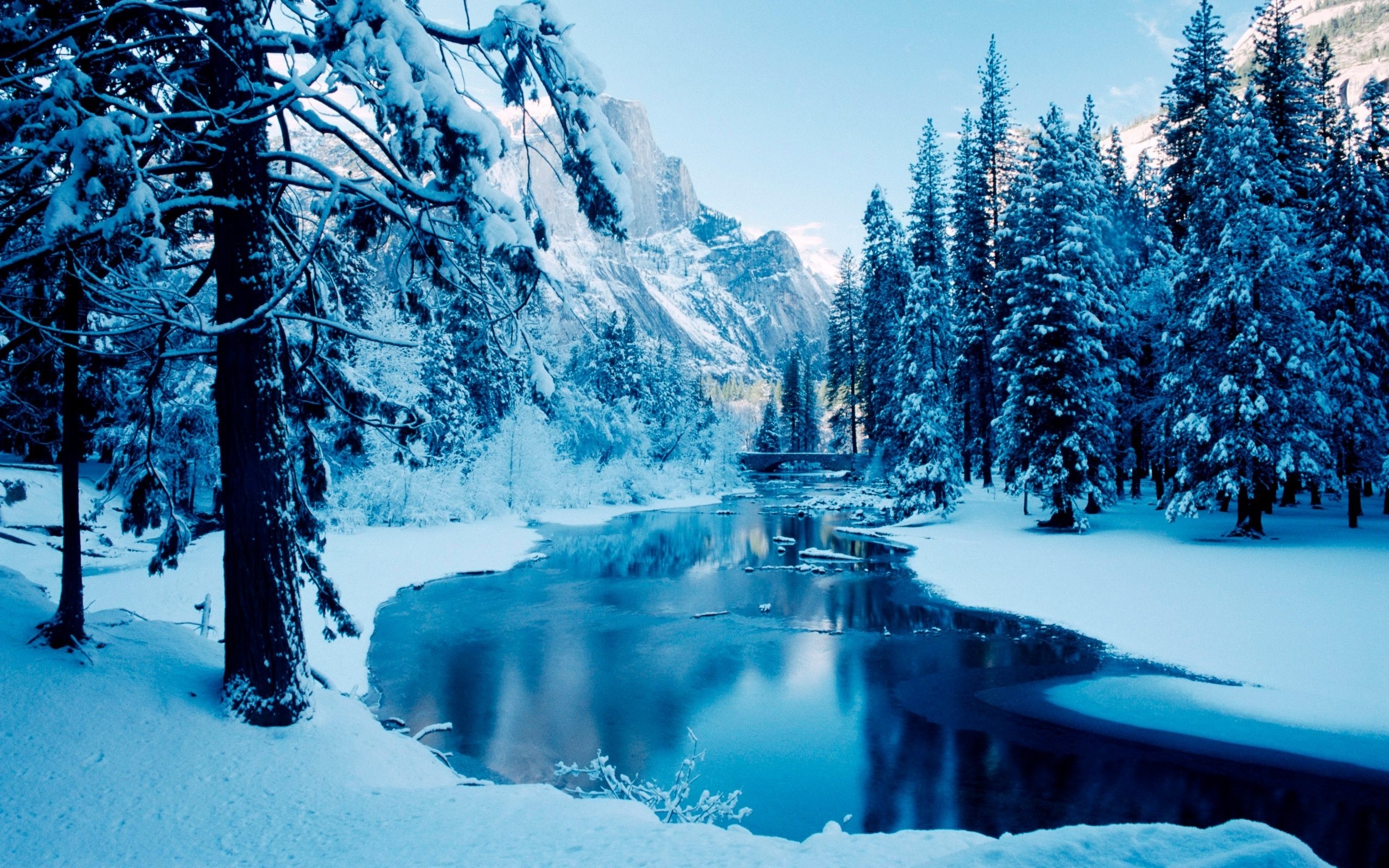 Nature Trees Snow Mountain Wallpaper HD
