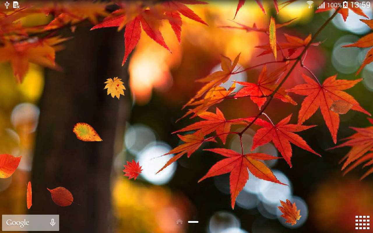 Autumn Wallpaper Android Apk Aptoide