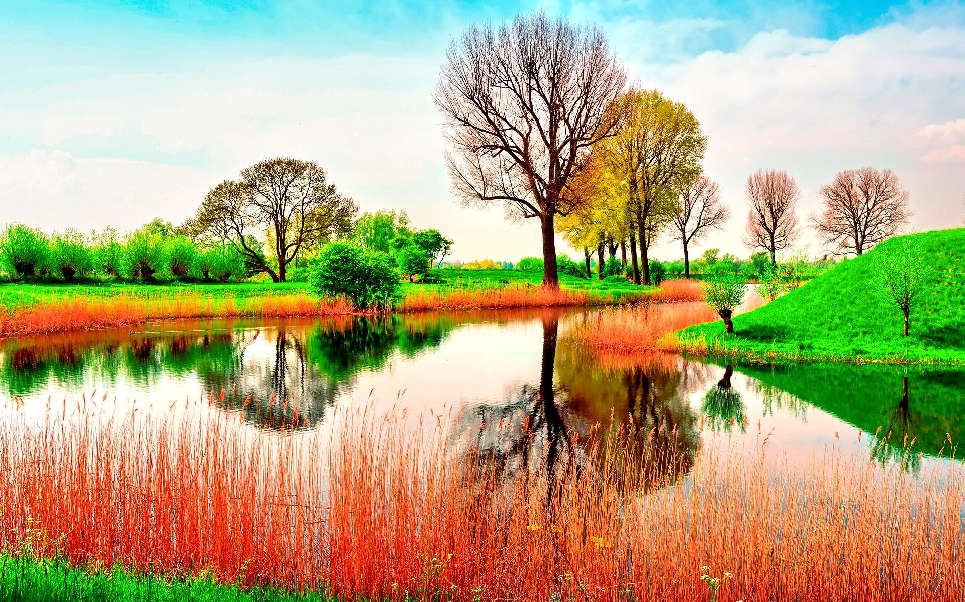 Picturesque Lake In A Colorful Vibrant Landscape Image