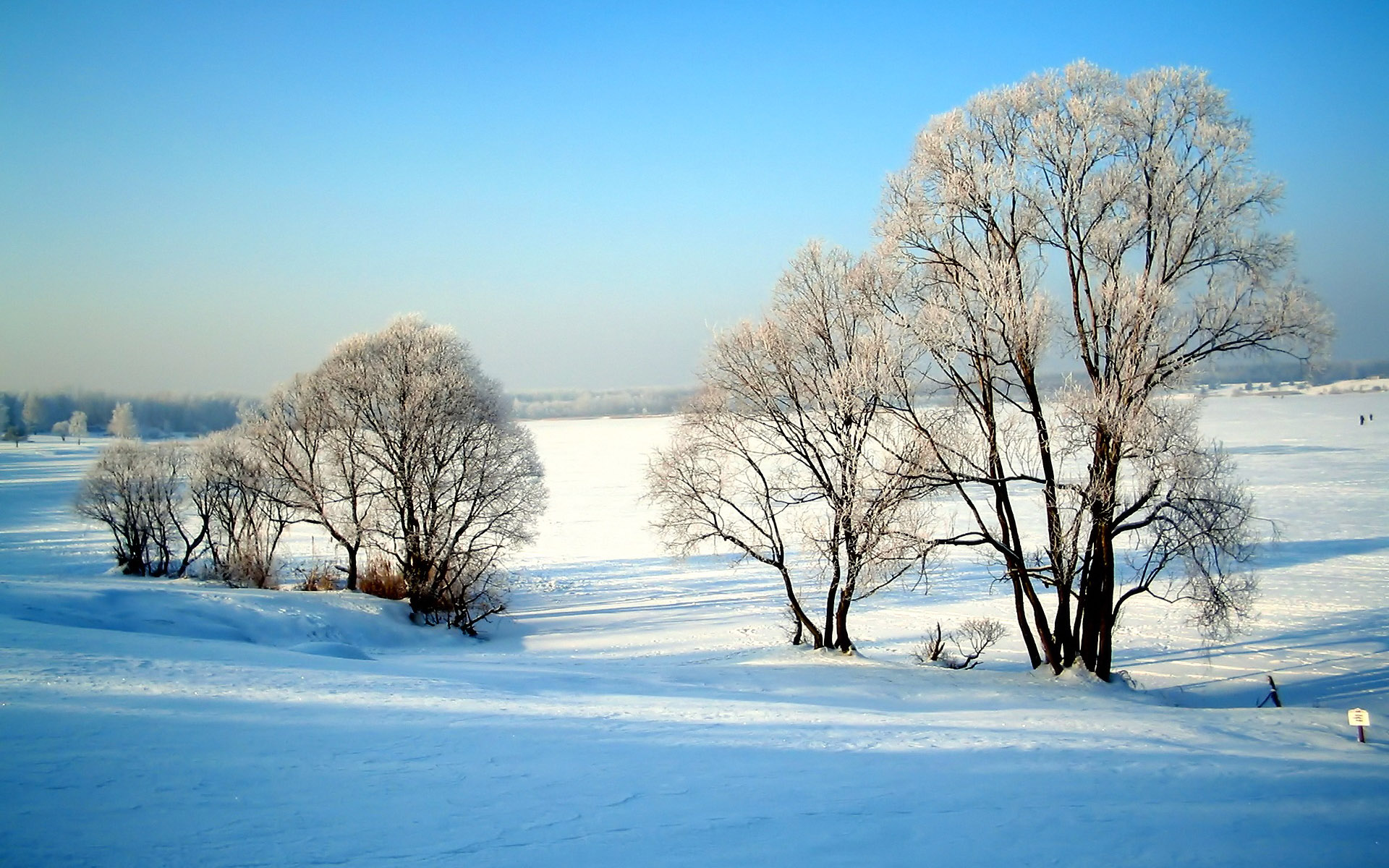Widescreen Winter Snow Scenes Dreamy Wallpaper