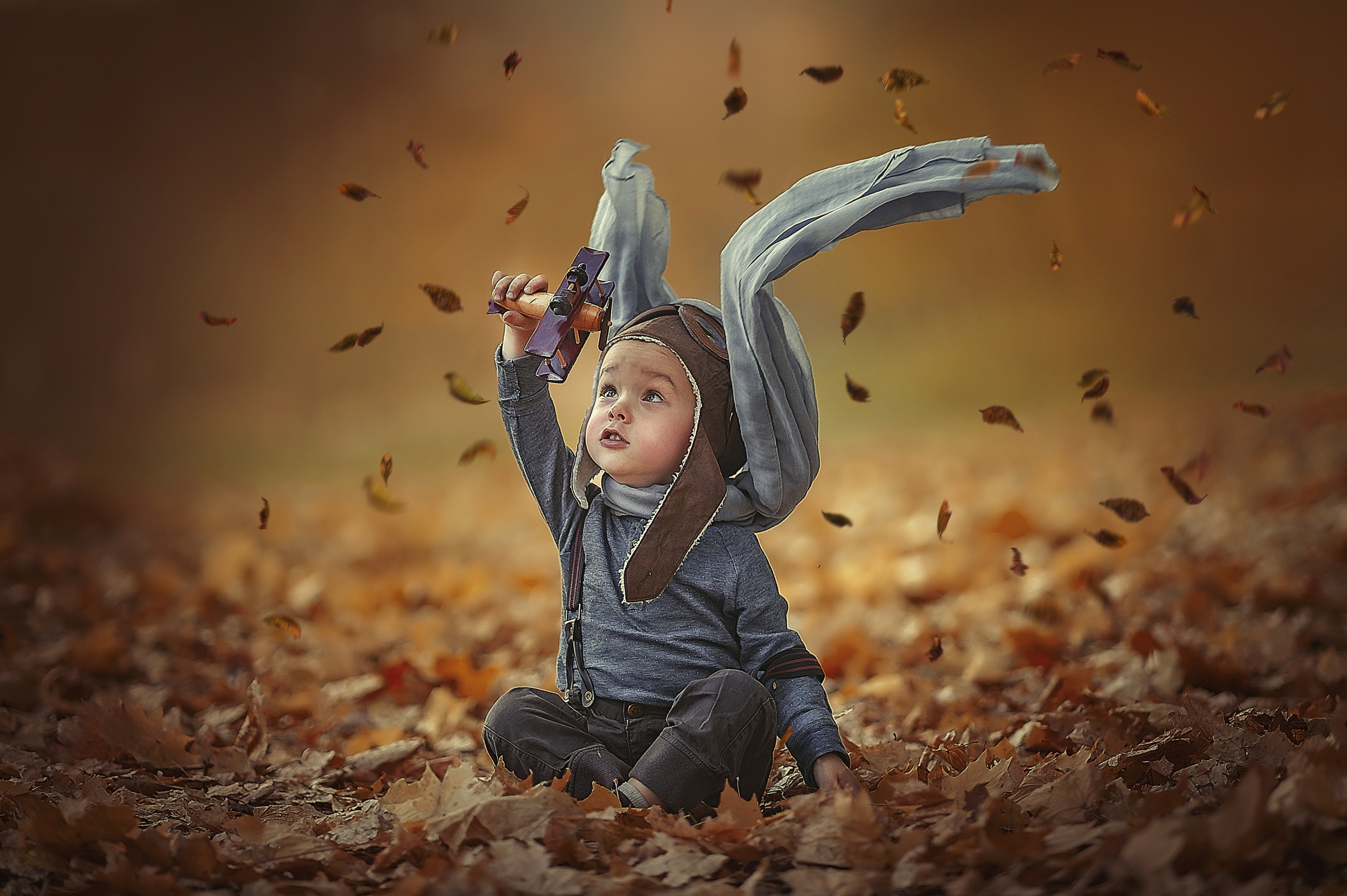 Pilot Toy Leaf Fall Photography Child Hd Wallpaper