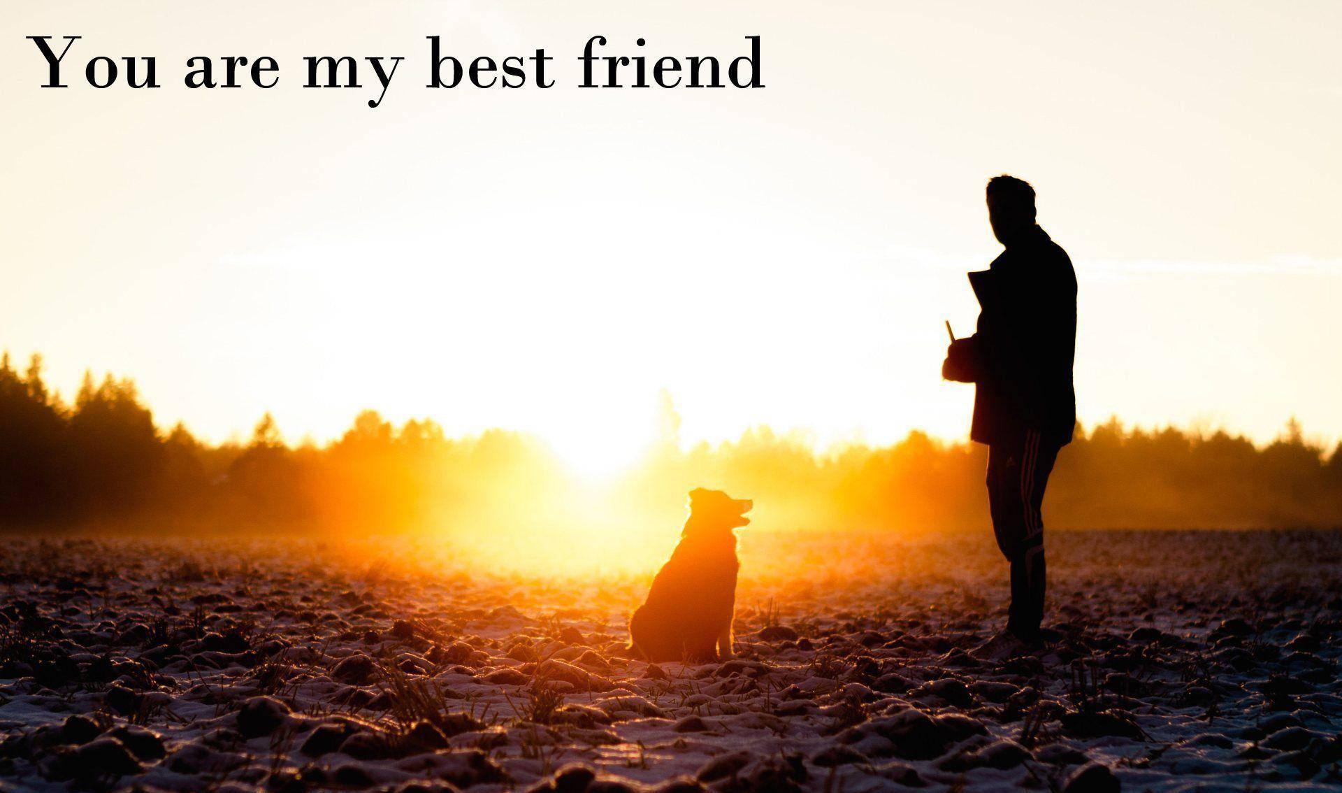 Download Man And Dog Best Friend Quotes Wallpaper