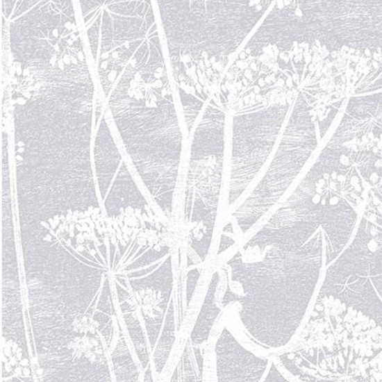 Cow Parsley Wallpaper By Cole Son From Wallpaperdirect Winter