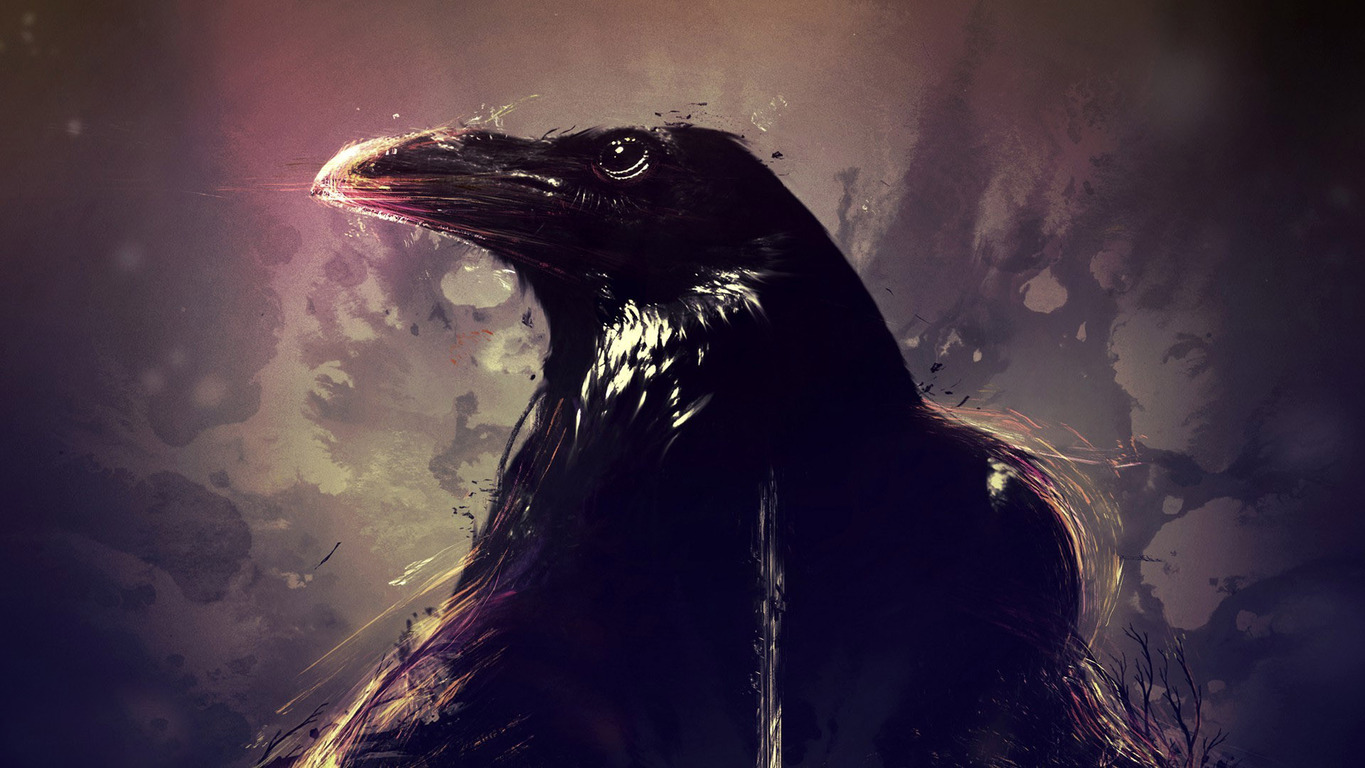 Crows Beautiful Wallpaper Background Picture Raven Background Image And  Wallpaper for Free Download