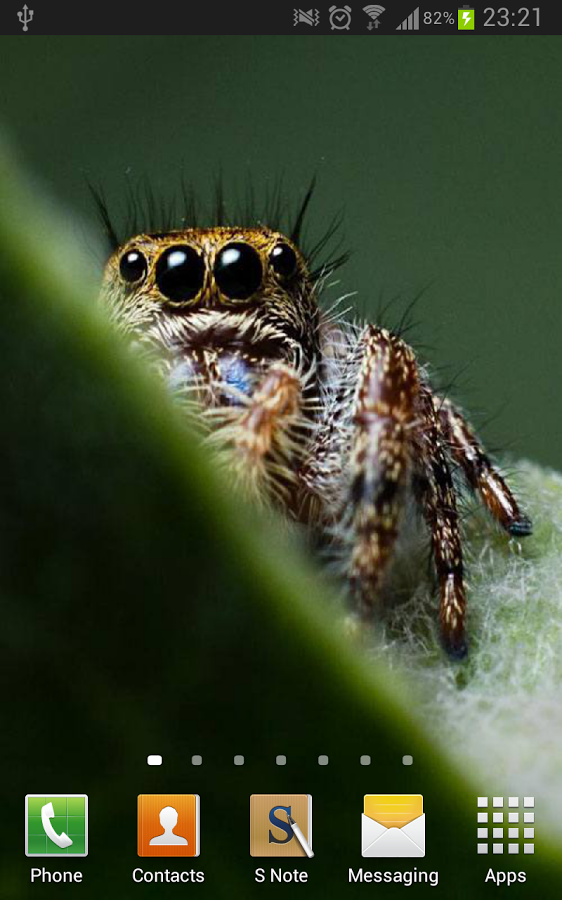 Cute Spiders Wallpaper Android Apps On Google Play