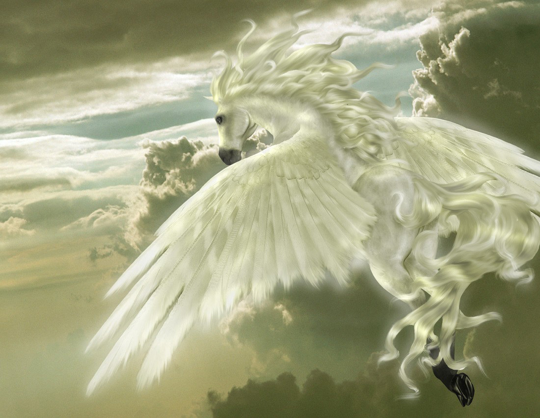 Desktop Background 3d Graphics Pegasus The Flying