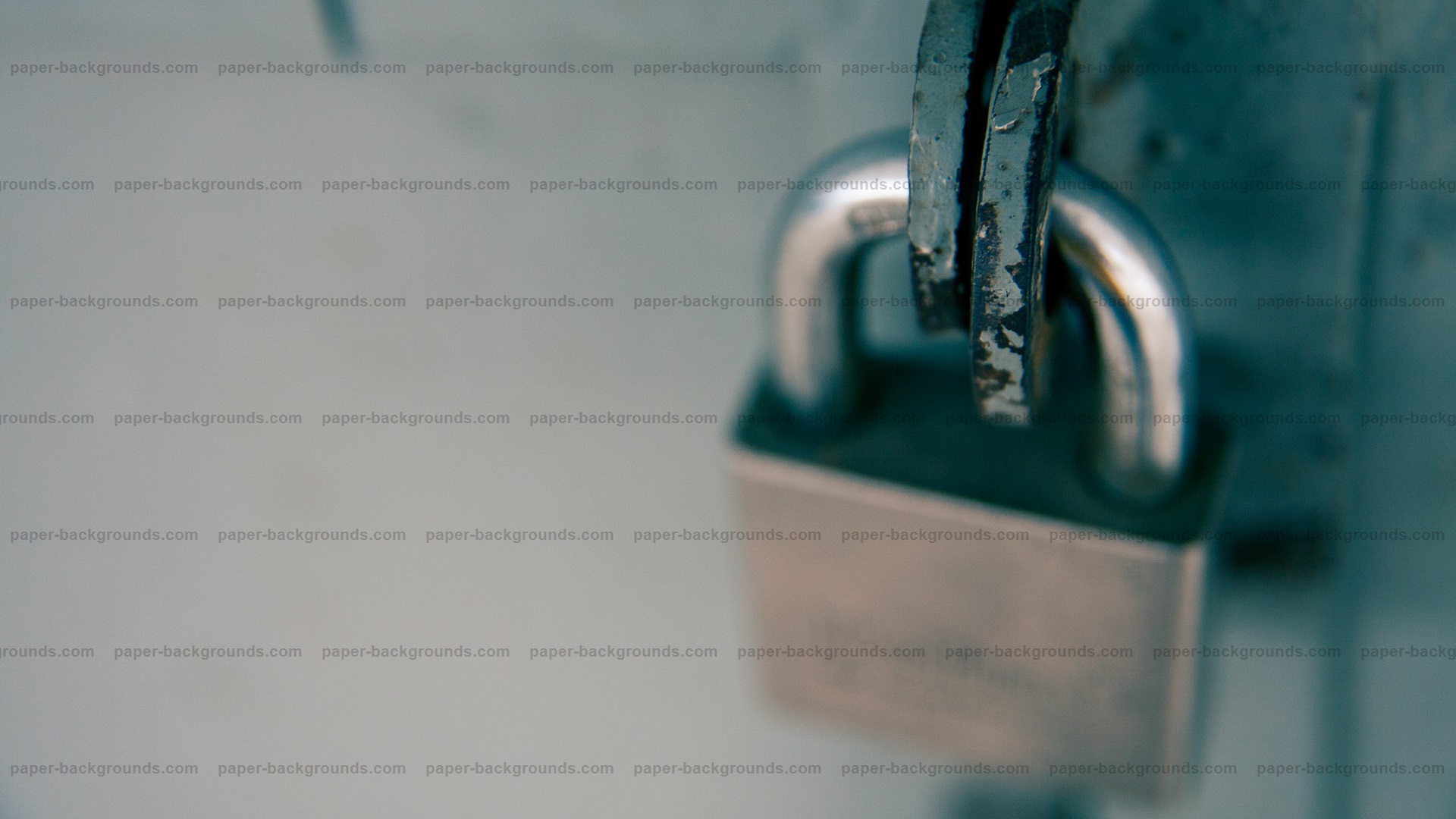 🔥 [50+] Blue Zebra Locker Wallpapers WallpaperSafari