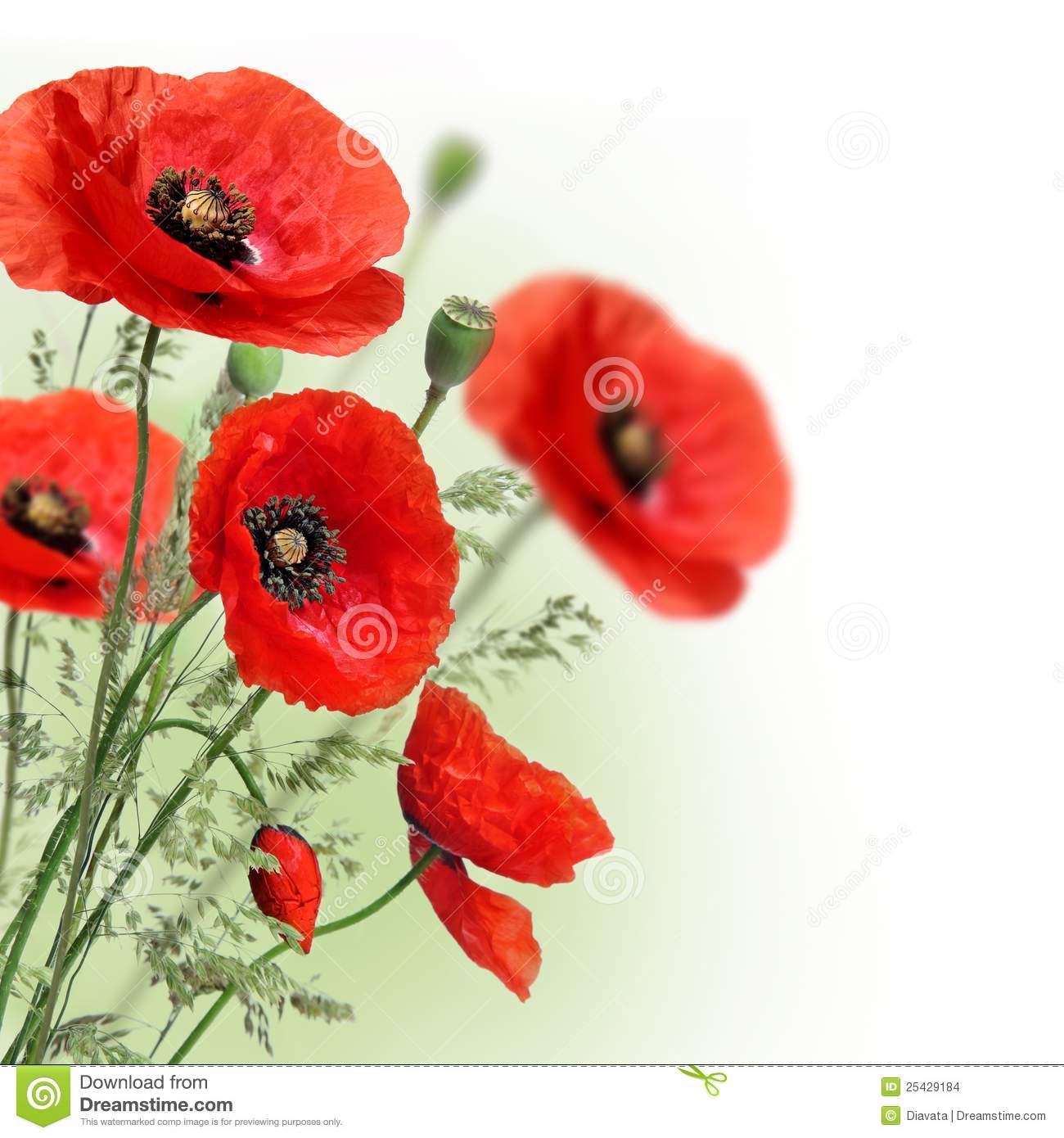 Free download Pin From Upon Poppy Hill [1300x1390] for your Desktop