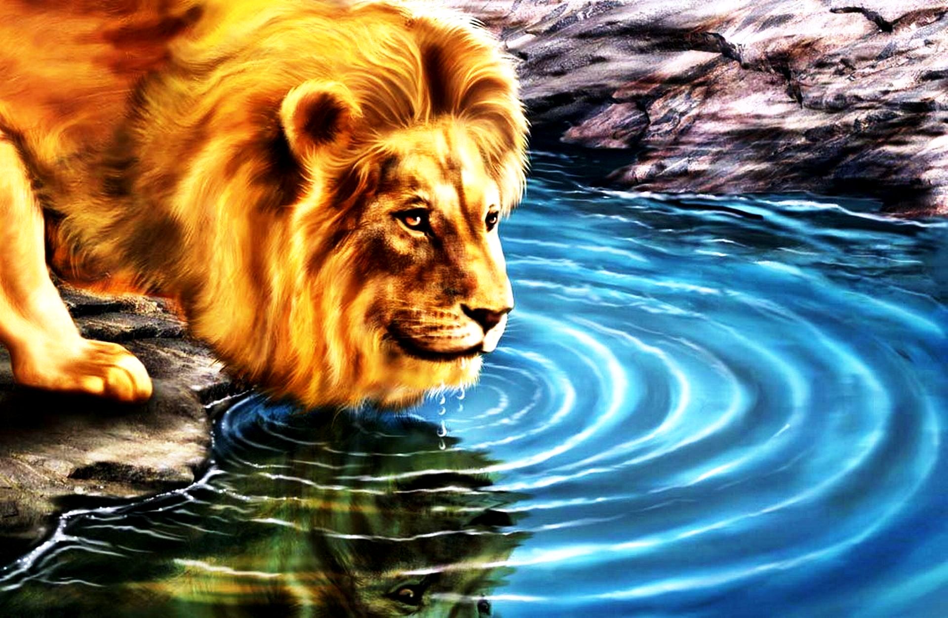 3D Wallpaper Desktop Backgrounds Lion WallpaperSafari