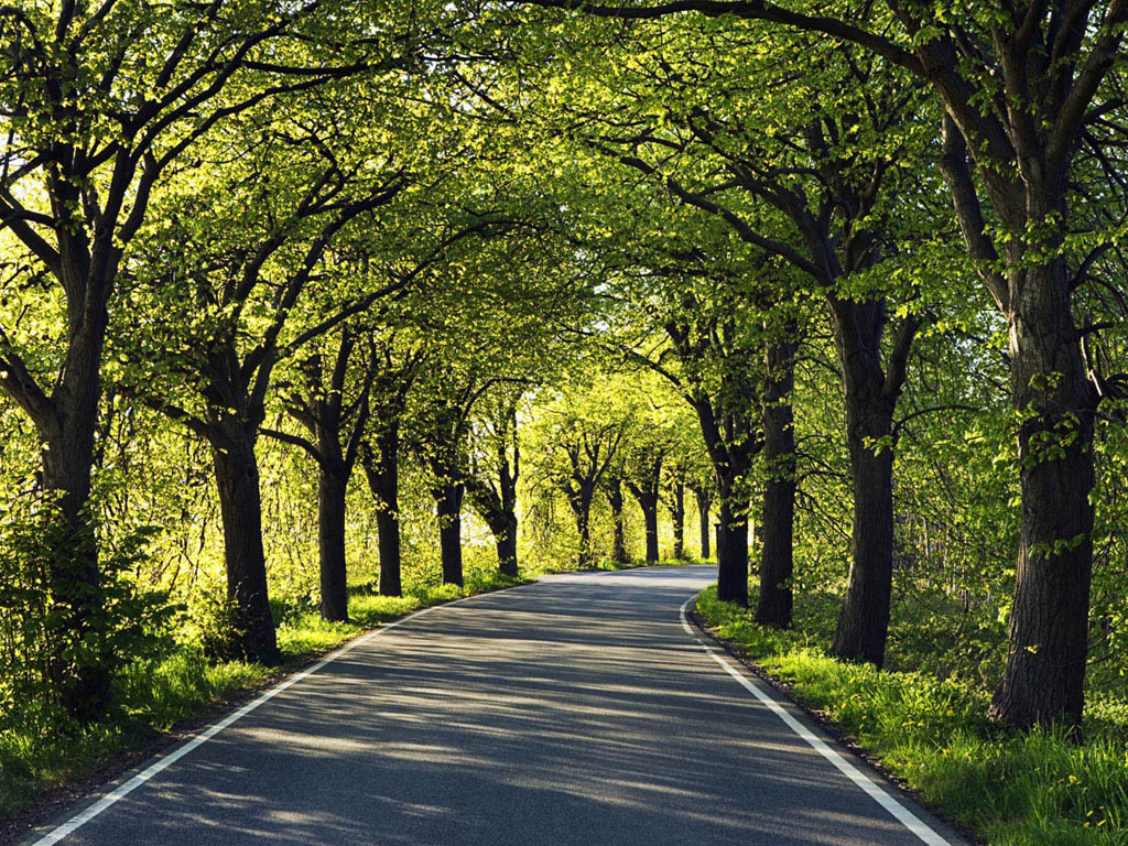 Scenic Photography Wallpaper