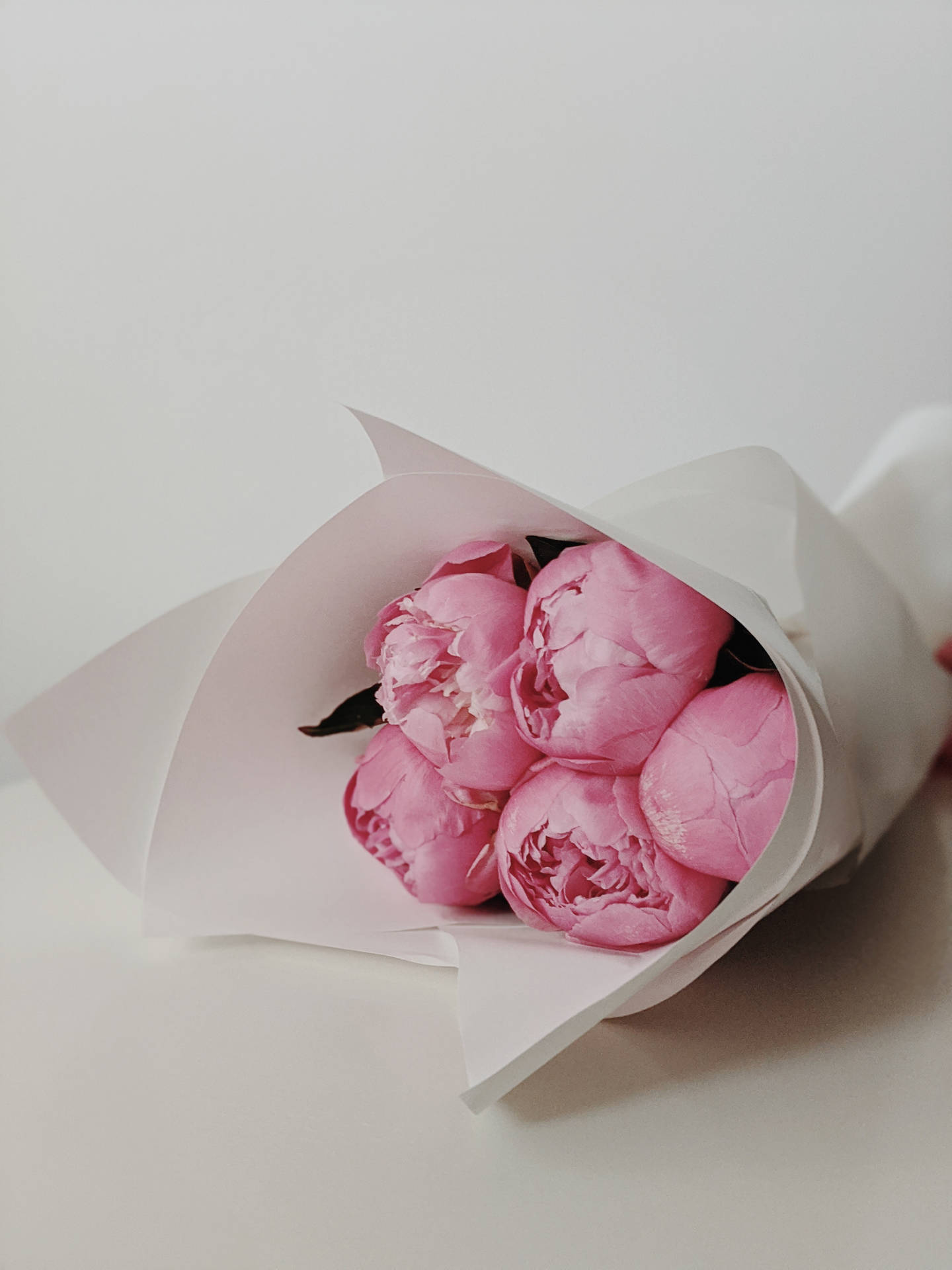 Pink Flowers Aesthetic Wallpaper