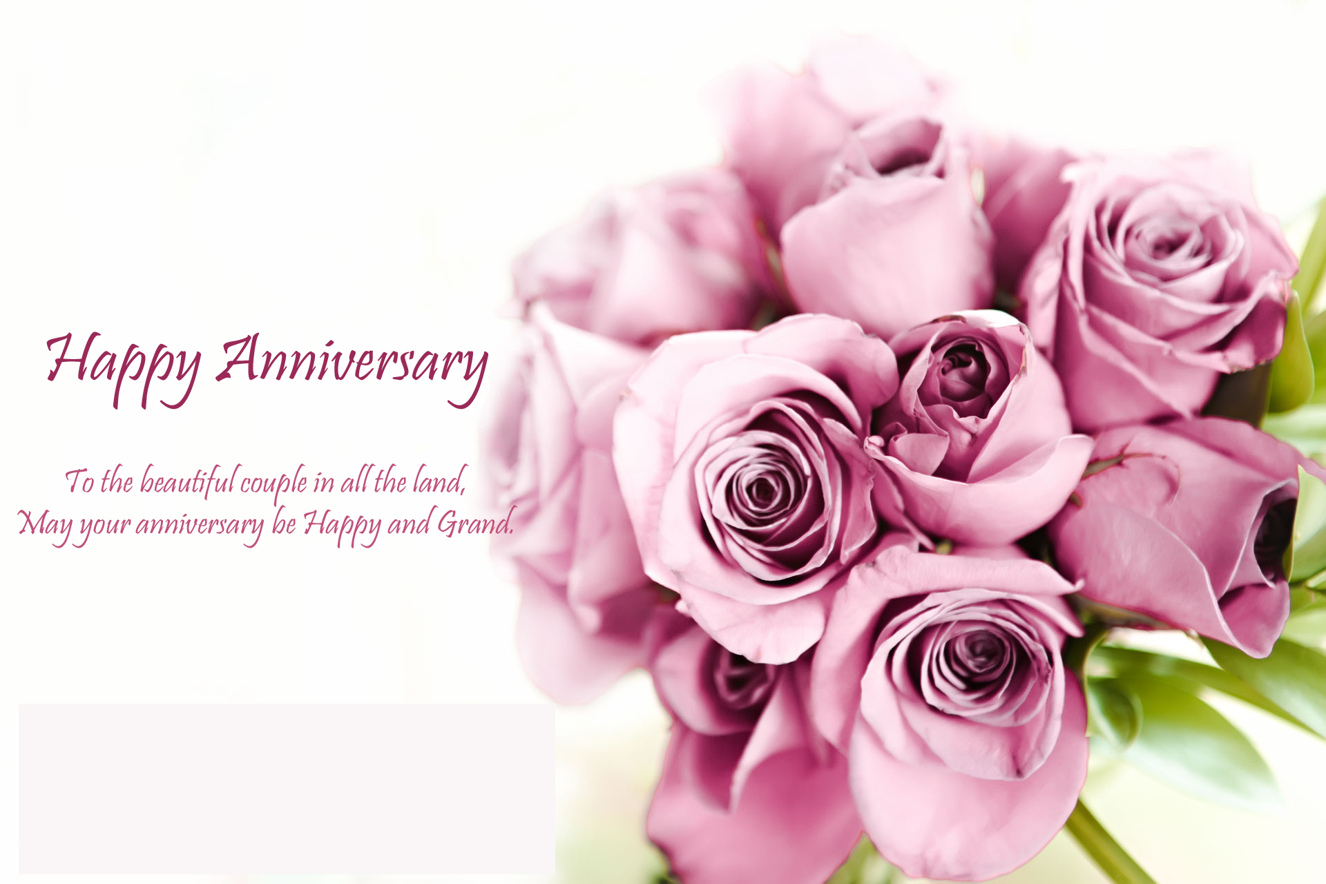 Roses Happy Anniversary Wishes Image With Resolutions Pixel