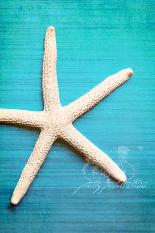 White Starfish On Turquoise Blue Background The Sea Abstract Photo