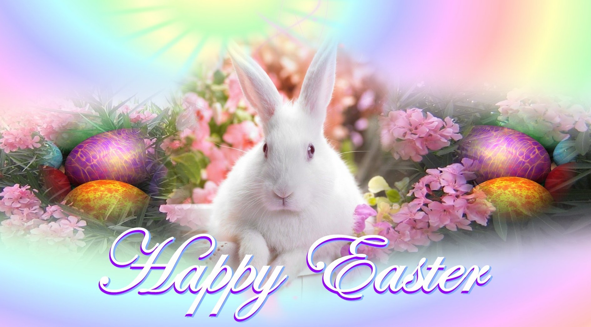 Easter Bunny Wallpaper Greeting