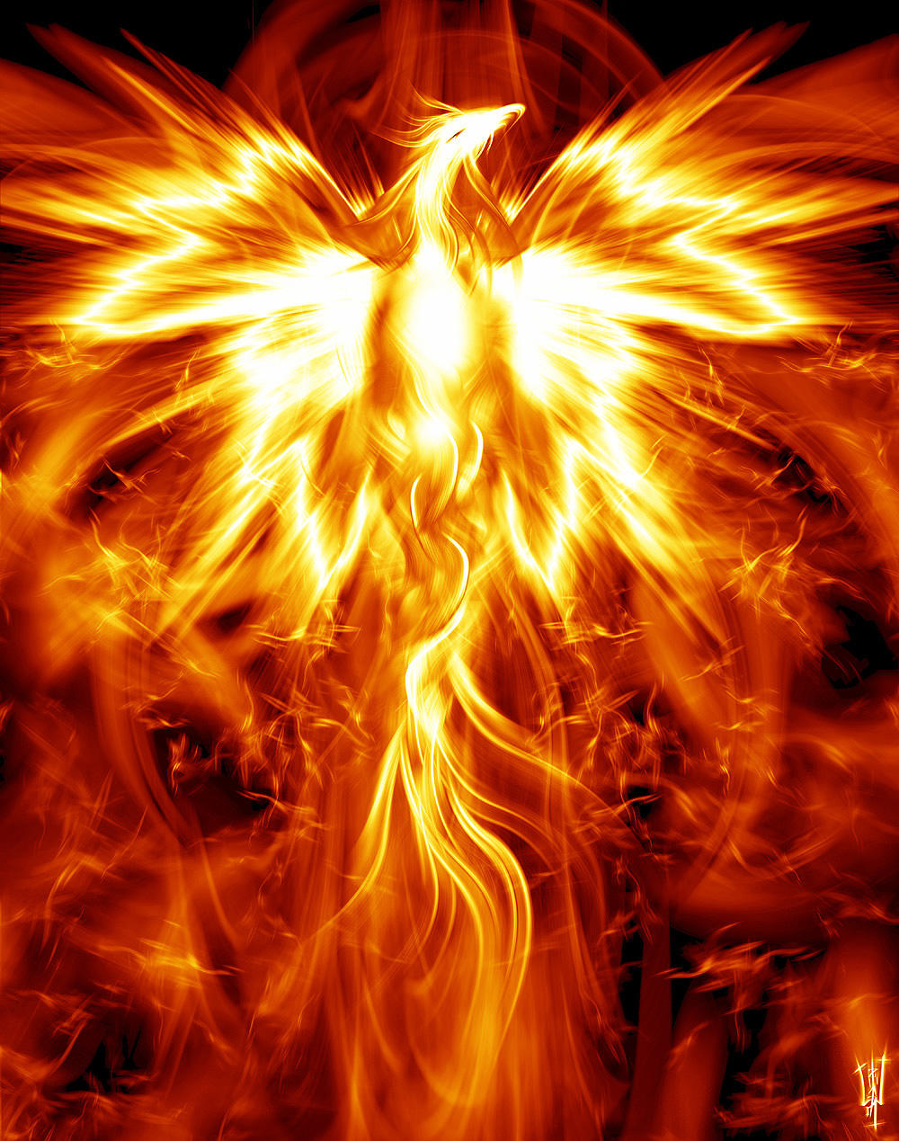 Mythical Phoenix Wallpapers  Wallpaper Cave