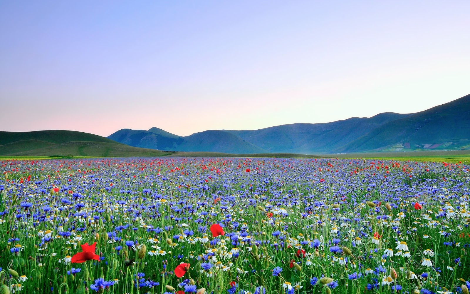 Beautiful Nature HD Wallpaper