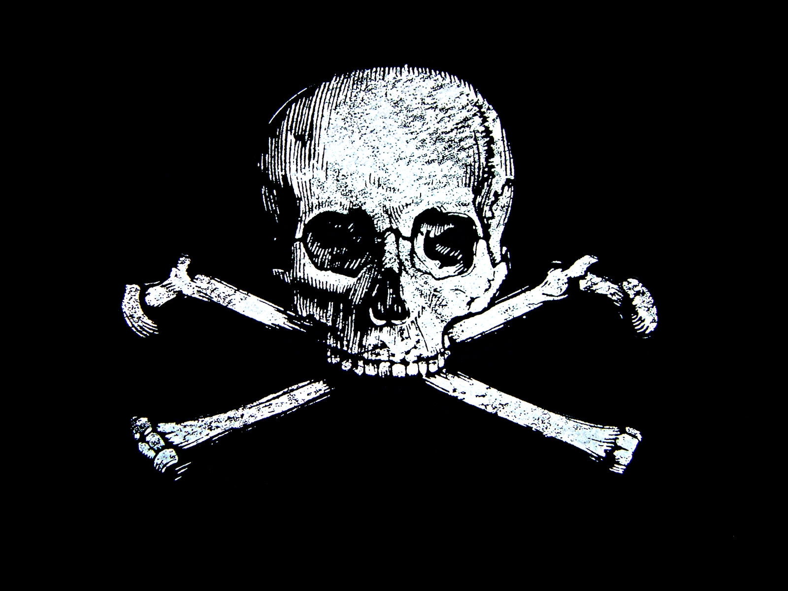 Wallpaper Pirate Skull For Pc 1080p