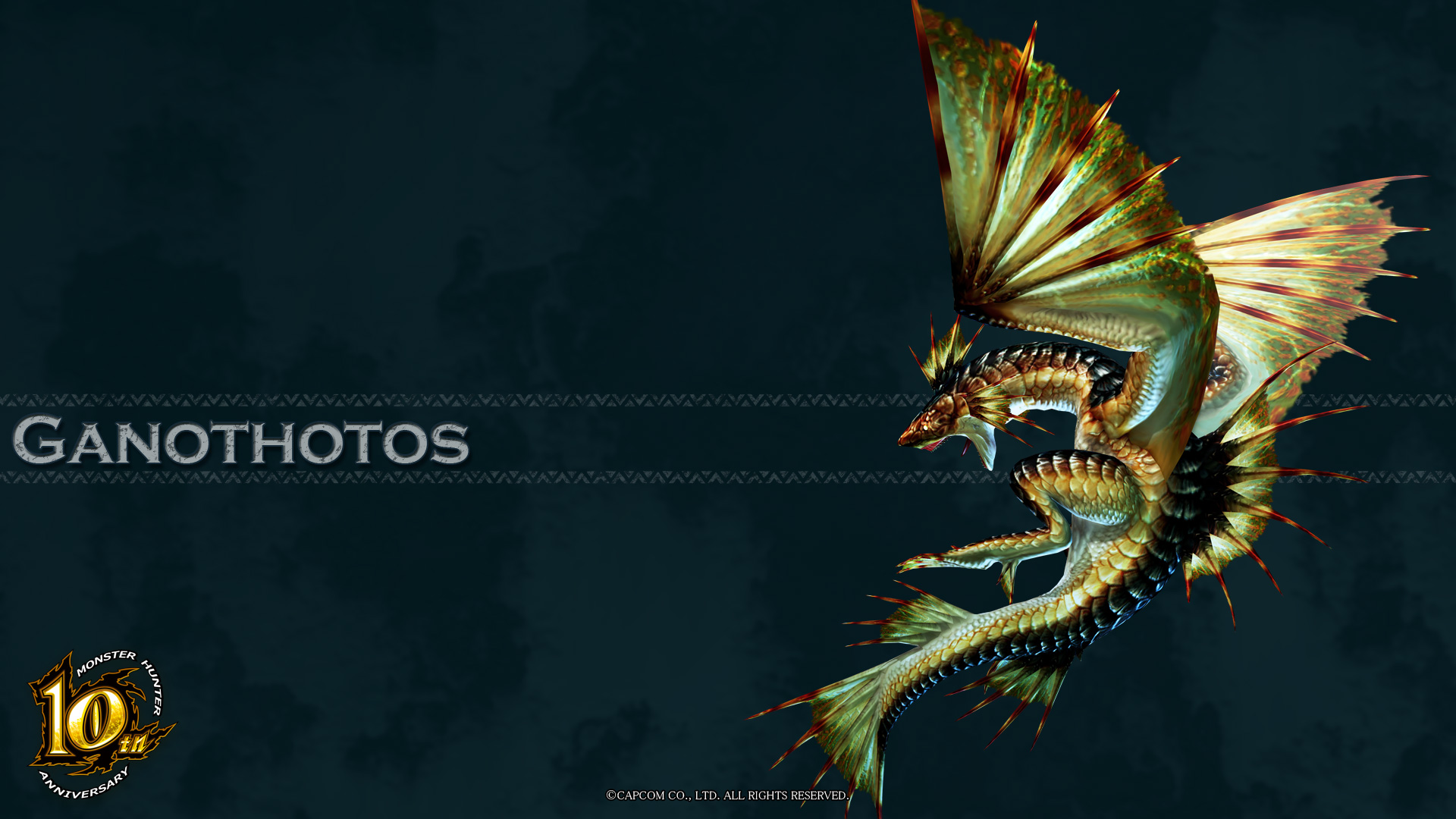 Monster Hunter Wallpaper Pictures Image