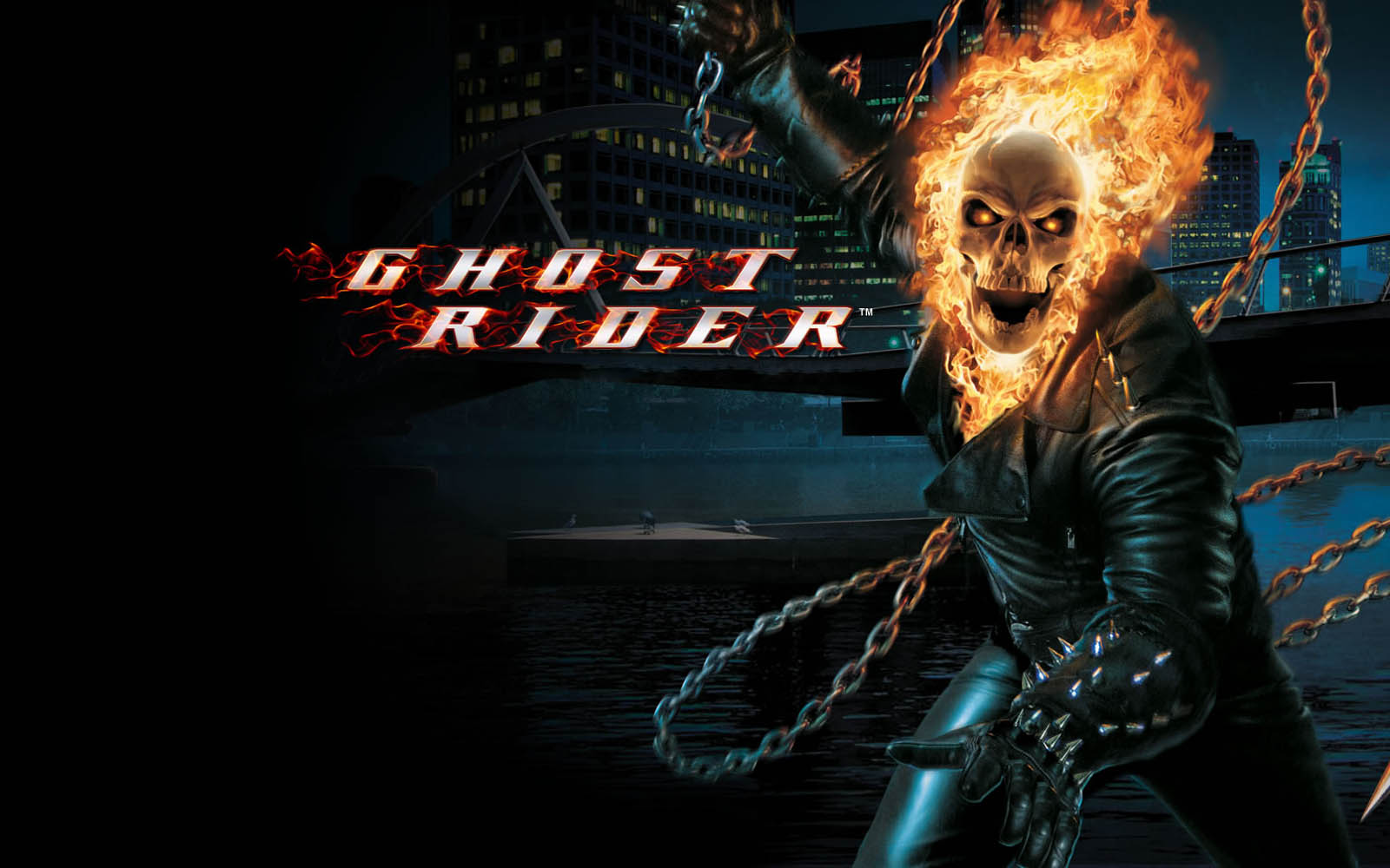wallpapers Ghost Rider Wallpapers 1600x1000